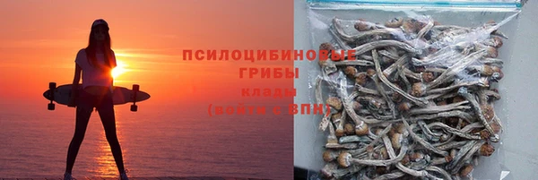 mdpv Володарск