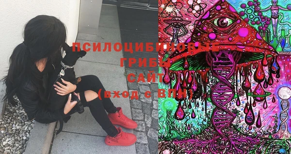 бошки Верея
