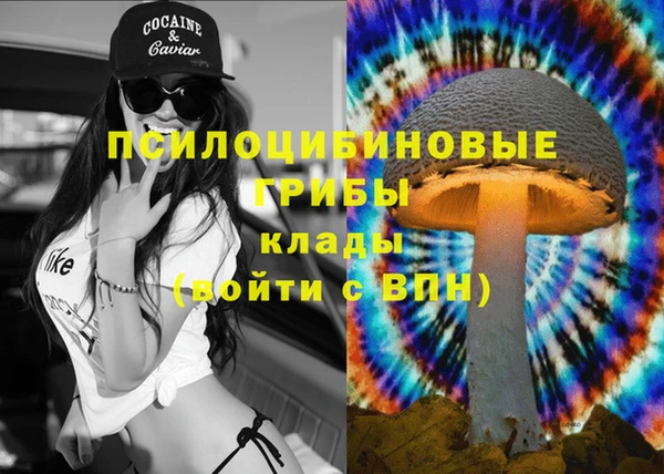mdpv Володарск