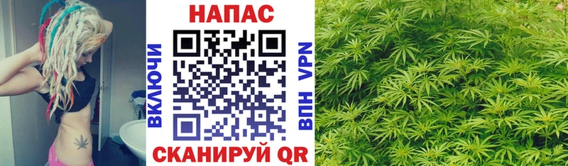 omg ONION  Луза  Конопля THC 21% 